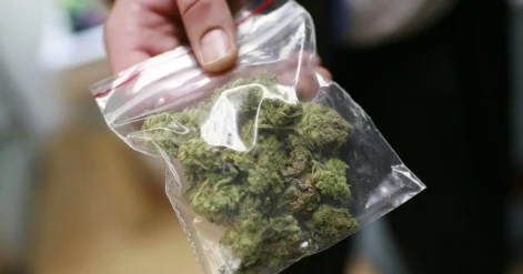 Потребитель марихуаны оспорил законность процедуры медосвидетельствования