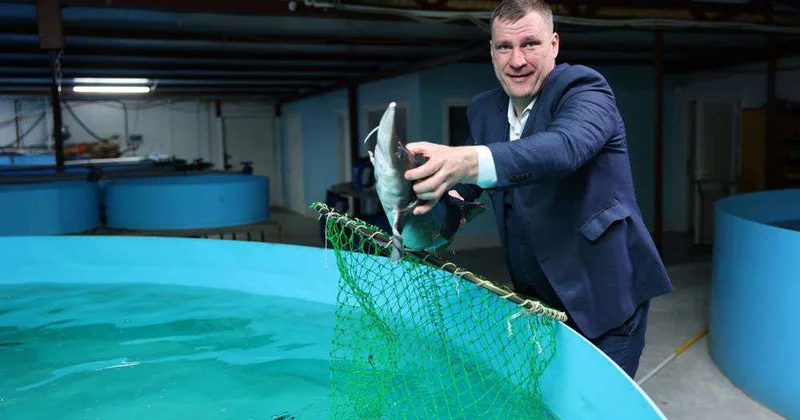 Намечено построить форелевую ферму