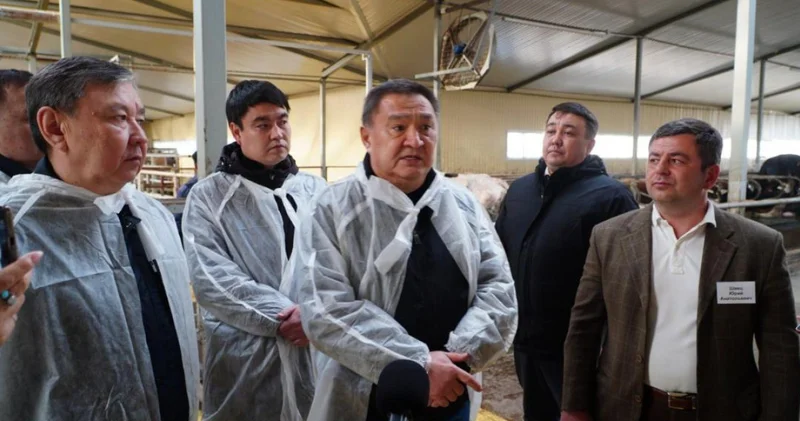 Ақмола облысында 400 басқа арналған заманауи сүт тауар фермасы іске қосылды