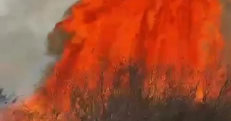 Сухая трава загорелась вдоль канала в Кызылорде, под угрозой оказались здания и дома