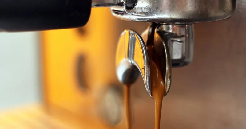 Кофе с насекомыми попалось жителю Костаная