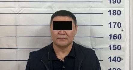 Қырғызстанның экс депутаты Шаирбек Ташиев 16 мамырға дейін қамауға алынды