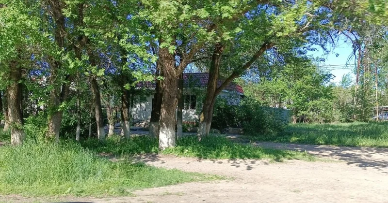 Идеальное казахстанское село Болек: место, где всё хорошо, если бы не одна проблема