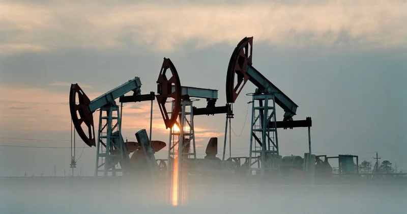 Страны ОПЕК+ нарастят добычу нефти в сентябре