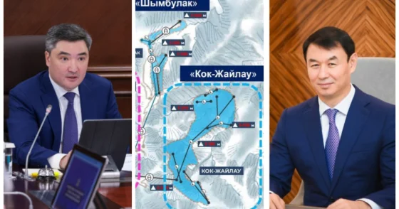 472 краснокнижных дерева могут вырубить ради Almaty SuperSki в Кокжайлау