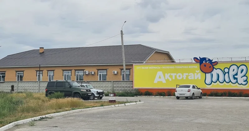 Бір бірін құтқармақ болған: Павлодар облысындағы фермада орын алған Төтенше жағдайға кінәлілер аталды