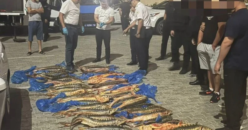 В Мангистау задержали мужчин, которые везли 205 кг осетров в багажнике