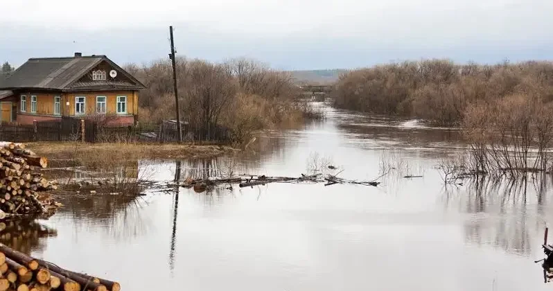 Тасқын су 1,5 метрге дейін көтерілді . Түркістан облысында бірнеше елдімекенді су шайды