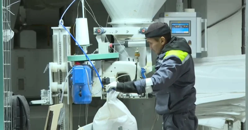 Алматы облысында астық өңдеу зауыты ашылды