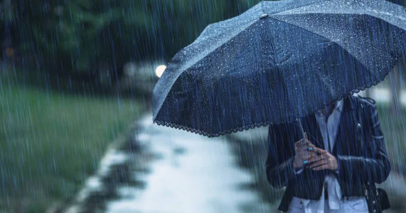 Нөсер жаңбыр, тұман, жел : 2 қарашаға арналған ауа райы болжамы жарияланды