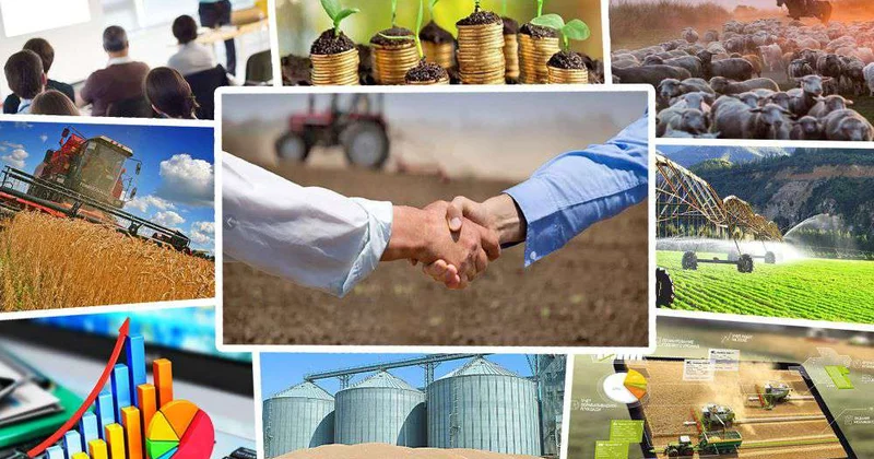 Мультипликативный эффект кооперации