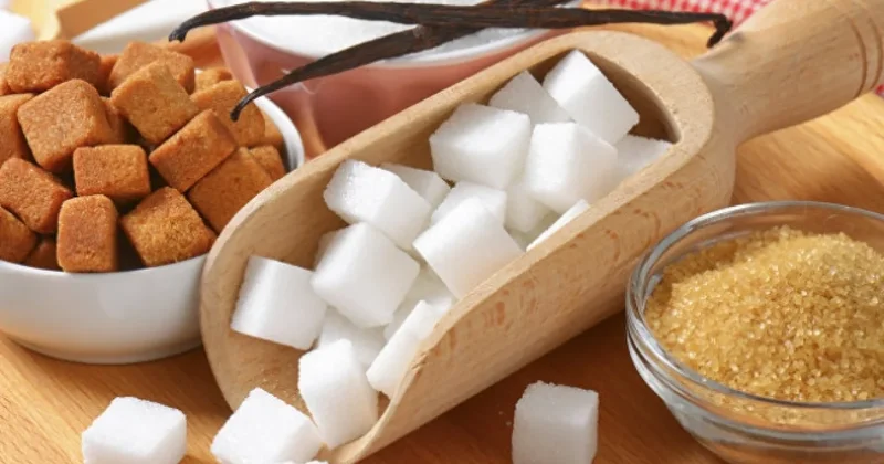 Қазақстанда екі жаңа қант зауыты салынады: Түркиялық инвестор 500 млн доллар құяды