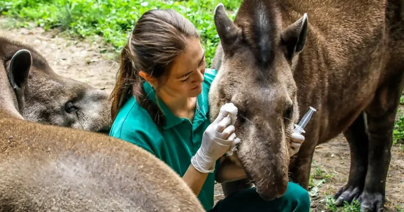 Жобаның жаңалығы көп