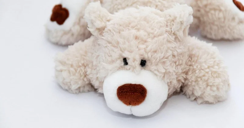 Блогера задержали за оскорбления родителей особенных детей в Астане