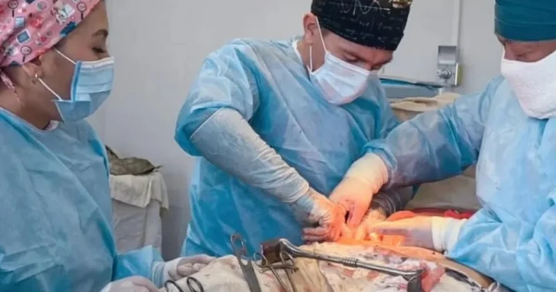 Қала тұрғындары жан жақты қамқорлықты сезініп отыр