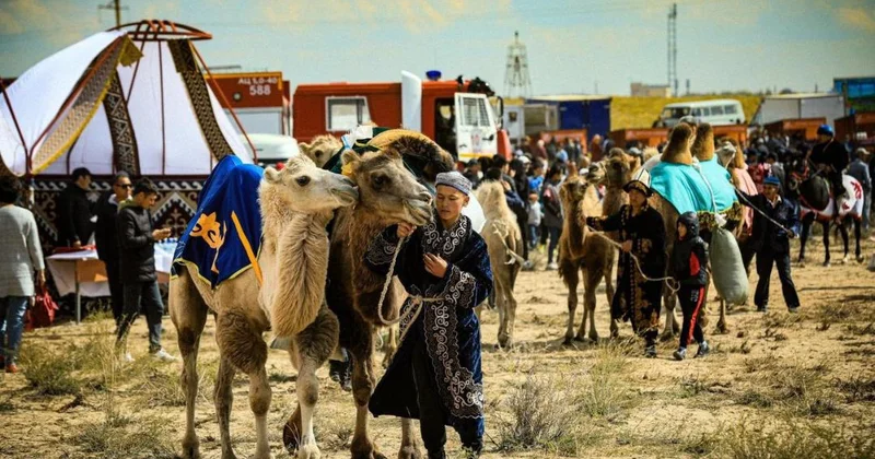 Ақтөбе облысында мал басы мемлекеттік қолдаудың арқасында 7% ке өсті