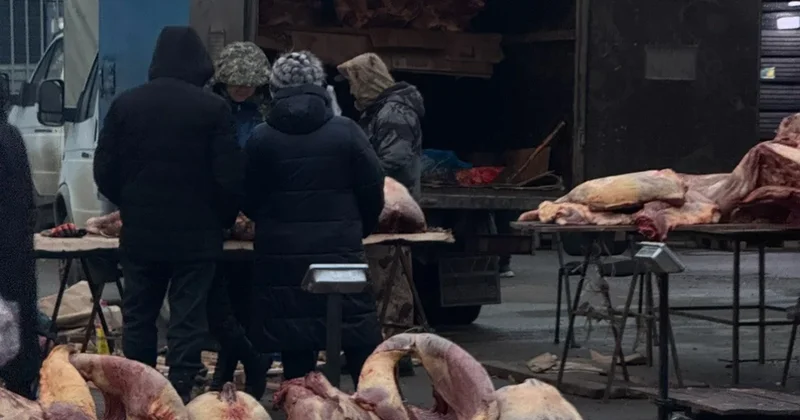 Мясо будет по 20 тысяч : в правительстве ответили на пугающий прогноз