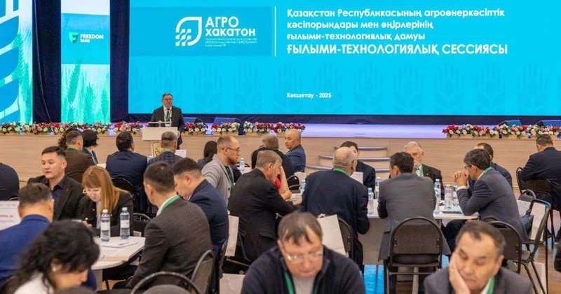 Нужно решать реальные производственные задачи