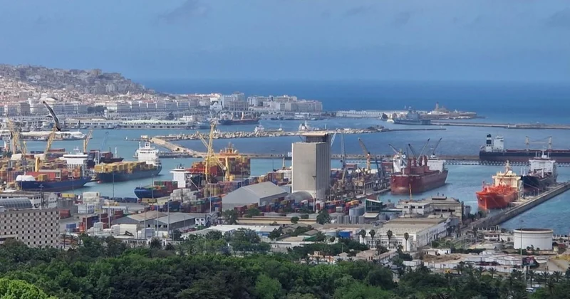 Қазақстан Алжирге 390 мың тонна бидай экспорттады