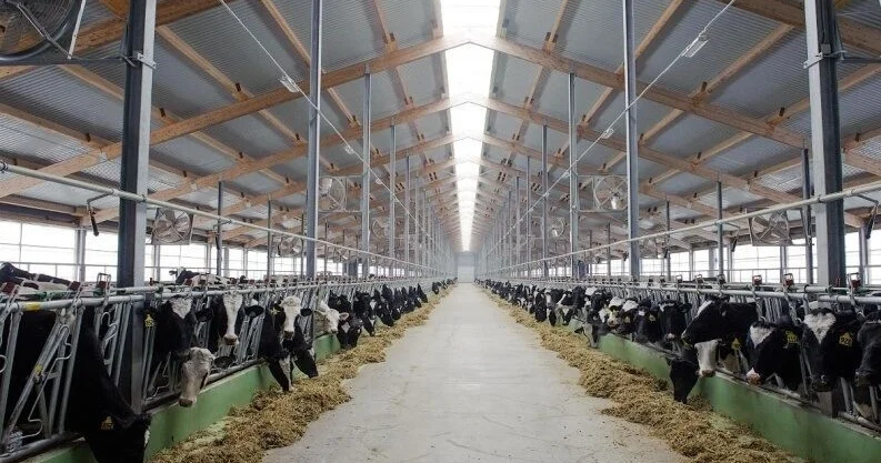 Акимат Алматинской области задолжал 9,8 млрд тенге субсидий предпринимателям Аналитический интернет журнал Власть