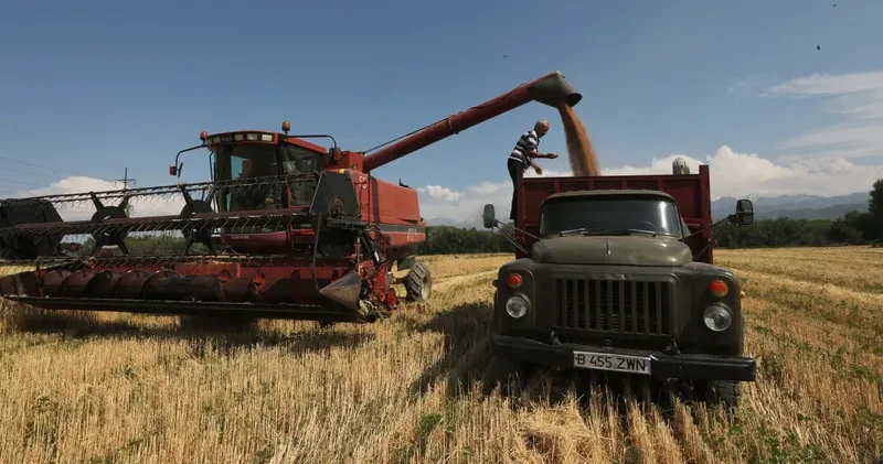 Қазақстанда 2028 жылға дейін астықты терең өңдейтін 5 ірі кәсіпорын іске қосылады