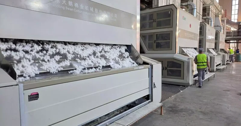 Мақта өсіруден киім тігуге дейін: Түркістан облысында ауқымды кластер құрылады