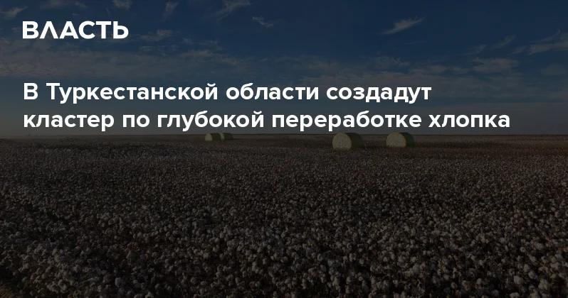 В Туркестанской области создадут кластер по глубокой переработке хлопка Аналитический интернет журнал Власть