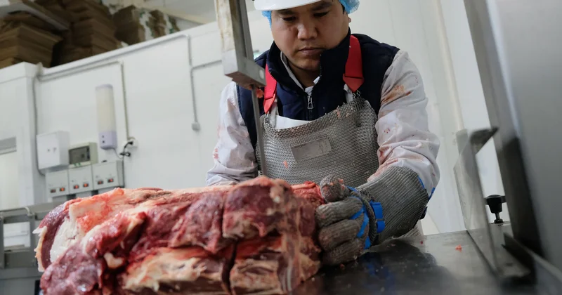 Будут вам говядина, кролик и олень