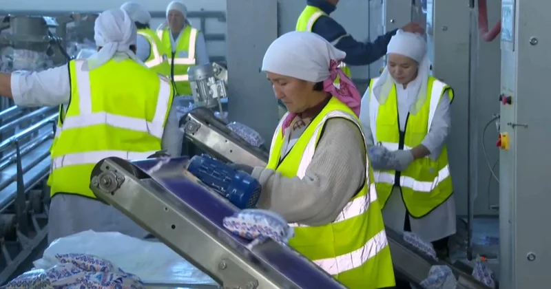 Аралтұздың экспорттық әлеуеті артты