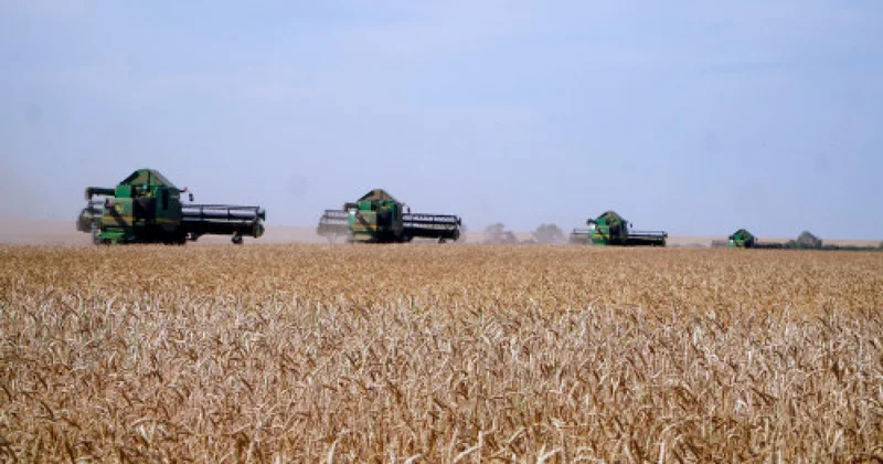 Астық жинау көрсеткіші бойынша Ақмола облысы көш бастады