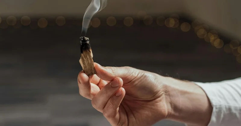 Пожарные приехали к павлодарцам, решившим почистить квартиру адыраспаном