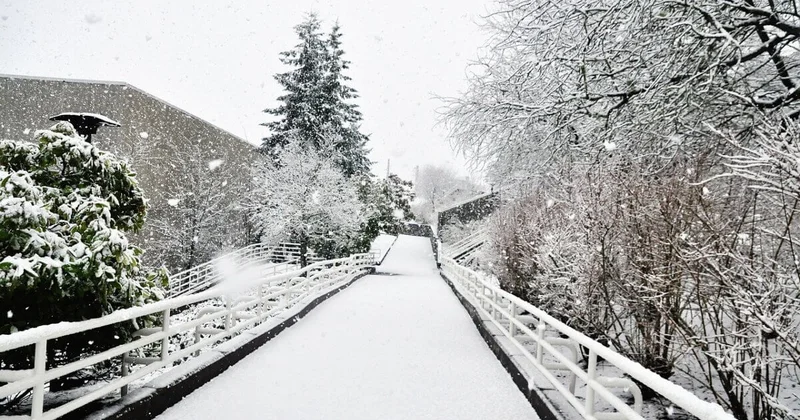 Астану накроет туман и мокрый снег