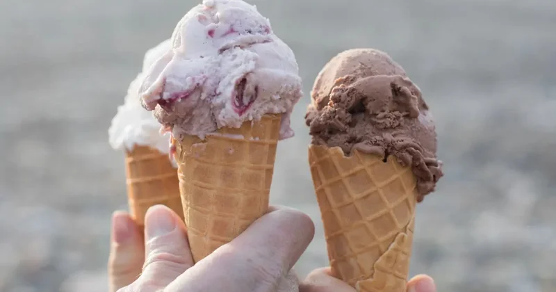 "Шин Лайн" и "Баян сулу" расширяются: 6 крупных проектов на 2026 год назвали в правительстве