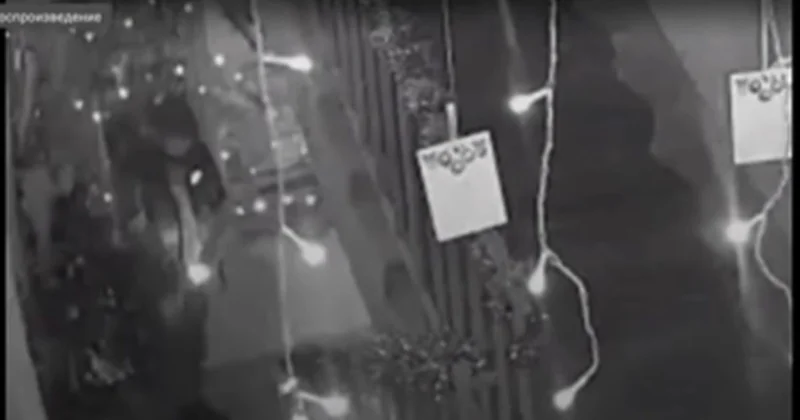 Неизвестный поджег елку в подъезде дома в Темиртау