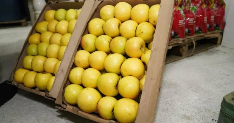 Түркістан облысында жеміс жидектерді терең өңдейтін зауыт іске қосылды