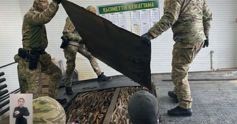 Спрятали контрабанду в спецтайнике: МВД провело операцию на границе с Россией (видео)