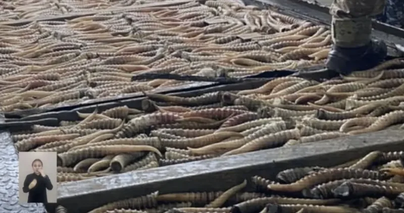 Қазақстан мен Ресей шекарасында браконьерлер ұсталды