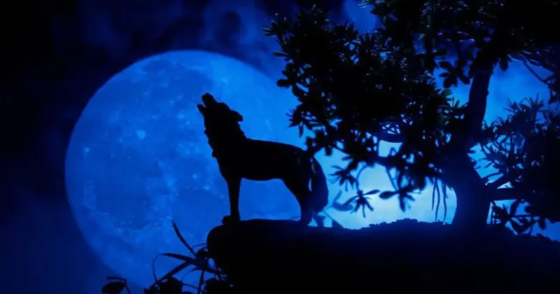 Волчья Луна и Земля на минимальном расстоянии от Солнца: что ждёт любителей неба в ближайшие часы