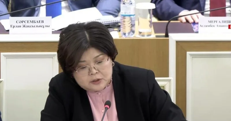 Эльвира Әзімова Конституциялық комиссияның алдағы жұмысына қатысты түсінік берді