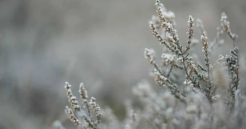 Усиление ветра и туманы ожидаются в Казахстане 3 февраля