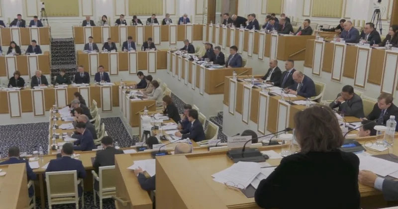 Әрбір сыни пікір Конституцияны жетілдіруге мүмкіндік береді Айдос Сарым