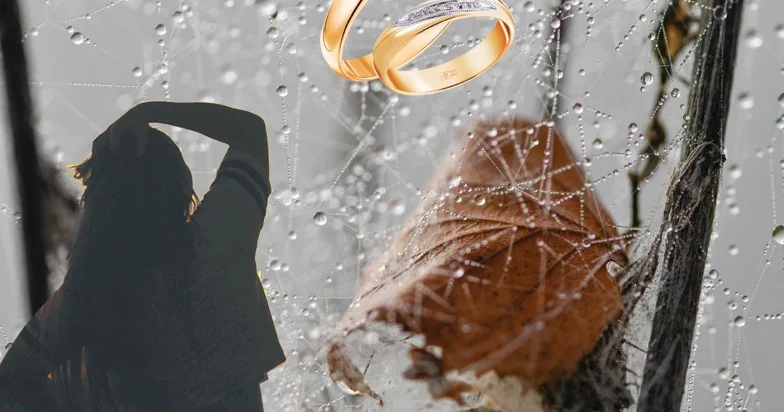 Неке жасы неге ұлғайып барады?