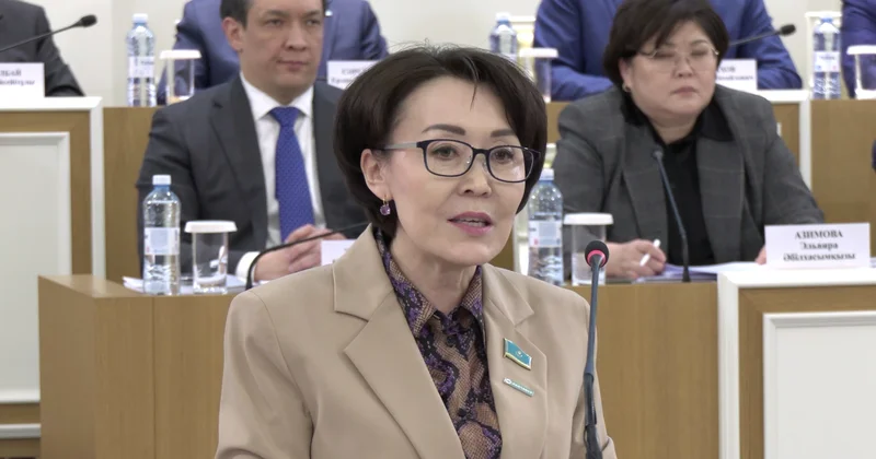 Үнзила Шапақ: Конституция мен халықаралық құқықтың арақатынасын белгілеу еліміздің тұтас құқықтық жүйесінің іргетасын нығайтады