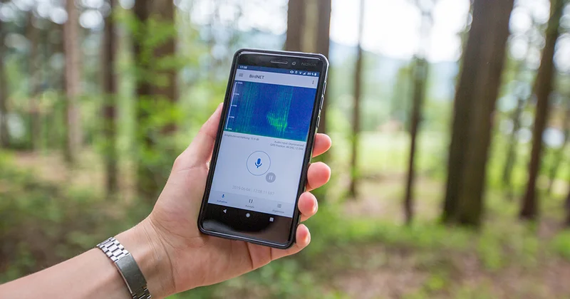 ЖИ жыл құстарын зерттеудің жаңа дәуірін ашты