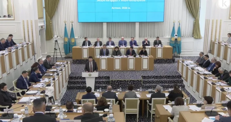 Жаңа Конституцияда сөз бостандығы шектелмеген Ерлан Қарин