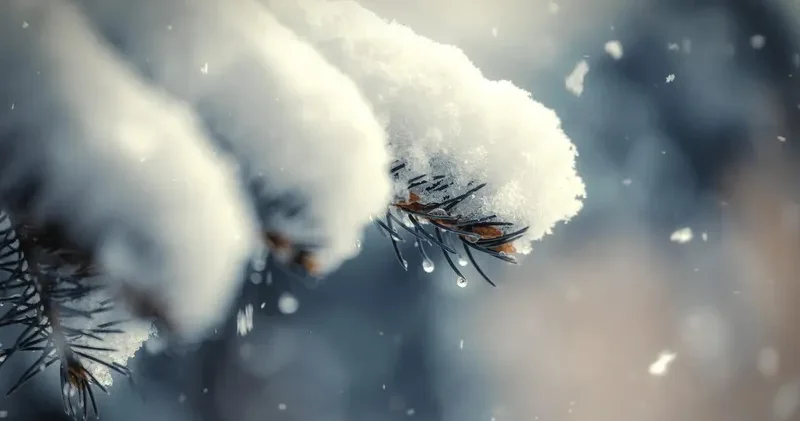 Көктайғақ, тұман және боран: 4 ақпанда Қазақстанда ауа райы қандай болады