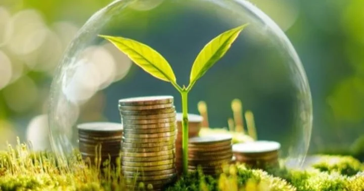 Экологияға келтірілген зиян үшін төлем тәртібі өзгерді