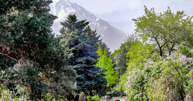 Алматыда биыл қандай жаңа саябақ салынады