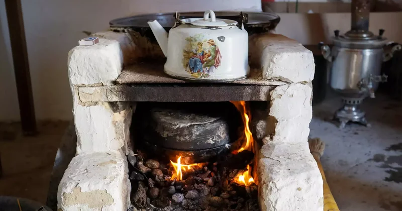 Көкшетауда анасы мен екі бала ысқа уланып қалды