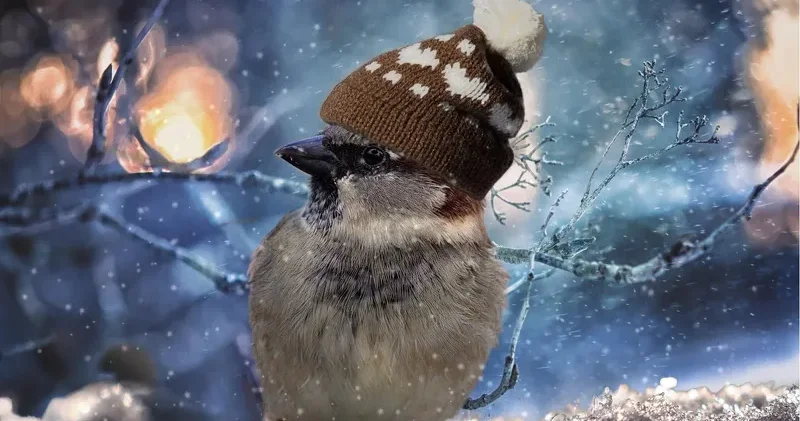 4 наурызда қай өңірлерде қолайсыз ауа райына байланысты ескерту жасалды